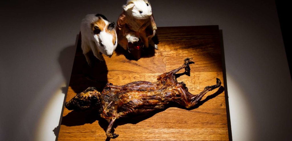 Disgusting Food Museum - Turistattraktioner i Malmö